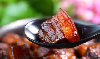 红烧猪肉的做法 红烧猪肉的家常做法