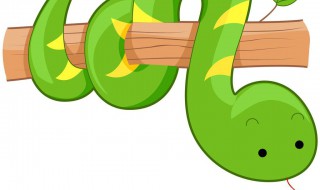 做梦被蛇咬 梦见被蛇咬了的梦境分析