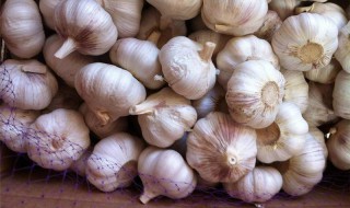 鲜大蒜大量保存方法 新鲜大蒜的储存方法