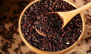 黑糯米洒的制作方法 黑糯米酒的制作方法简述