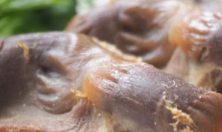 盐焗鸭胗的制作方法 做盐焗鸭胗的步骤