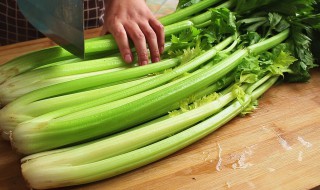 芹菜软了怎么做 制作的步骤是什么