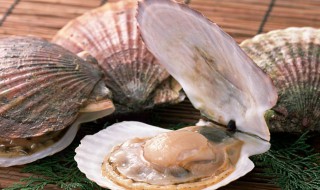 裙带扇贝怎么处理 裙带扇贝处理方法介绍