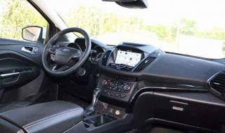 车内进苍蝇怎么处理 分别有什么办法解决