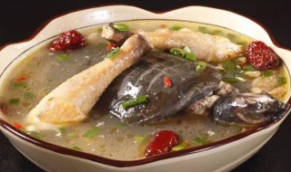 老鳖盖怎么处理干净 清洗老鳖的窍门