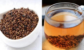 决明子茶的储存方法 决明子茶的保存方法