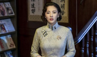 旗袍美探张雨绮扮演的角色 张雨绮介绍