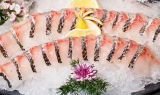 黑鱼切片怎么处理 黑鱼切片处理的方法