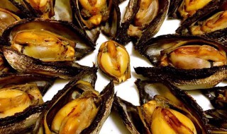 怎么做让毛蚶开口 做让毛蚶开口的方法