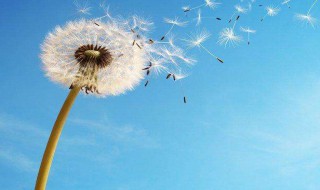 正能量语录集 正能量语录集列述