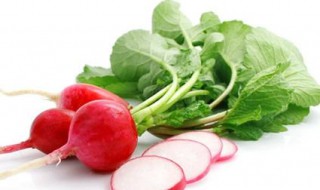 红萝卜种植时间和方法 红萝卜的贮藏方法