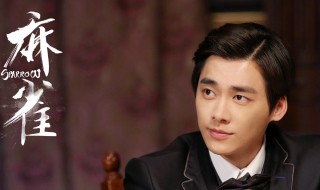 麻雀所有人的真实身份 分别的职务是什么