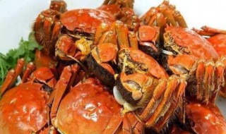 咖喱焗蟹怎么做 蟹肉价值