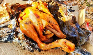 用泥土做烤鸡的方法 用泥土做烤鸡的方法简述