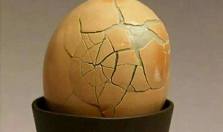 地上臭鸡蛋味怎么处理 需要怎么去除