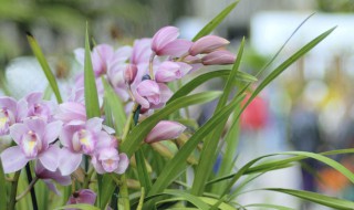 说产品好的正能量句子 有关产品好的说说