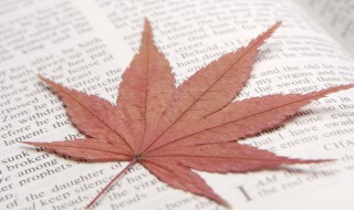 读书格言 读书格言有什么