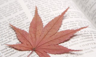 浪漫的英语爱情句子 浪漫的英语爱情句子有什么