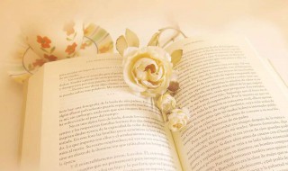 青春奋斗梦想励志句子 青春奋斗梦想励志句子有什么