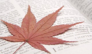 减肥励志的句子 减肥励志的句子有什么