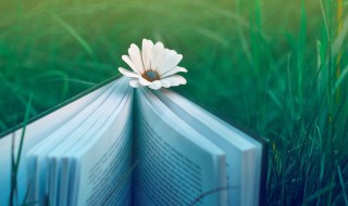 勇往直前的励志句子 勇往直前的励志句子有什么