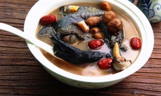 乌鸡汤搭配什么煲最好 一起来了解一下