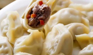 牛肉萝卜馅饺子的做法 如何做牛肉萝卜馅饺子