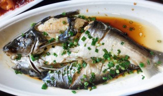 清蒸巴沙鱼的做法 清蒸巴沙鱼的做法介绍