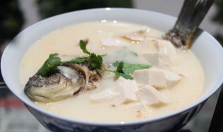 鲫鱼炖豆腐的家常做法 鲫鱼炖豆腐的家常做法介绍