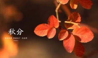 秋分的俗语 秋分的俗语有哪些