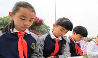 我爱红领巾手抄报内容 我爱红领巾手抄报内容简述