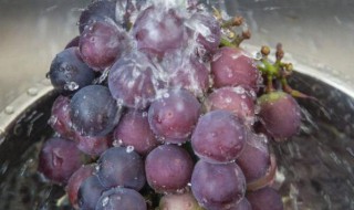 葱花卷的做法 葱花卷如何做