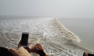 风号浪吼是什么意思 有什么相关的句子