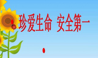 校园安全口诀 校园安全顺口溜