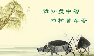 关于珍惜粮食的名言 关于珍惜粮食的名言分享