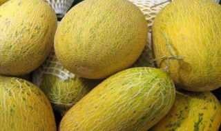 哈密瓜怎么调挑 哈密瓜的挑选方法