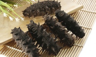 怎么选海参多少头好 海参选购注意事项