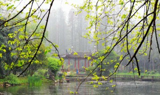 春雨像什么的比喻句 春雨像什么的比喻句分享