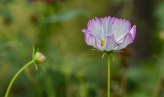 经典的一句话周末愉快 周末愉快祝福语