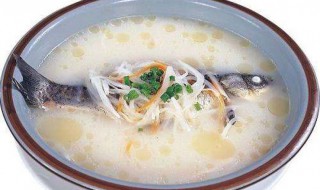 清炖鱼的做法大全 怎么做清炖鱼