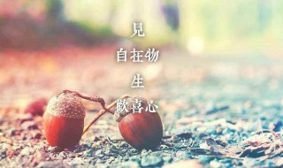 半夜发朋友圈的短句子 有什么好的表达