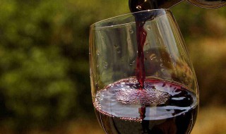 自做葡萄酒的方法步骤 自制葡萄酒详细步骤