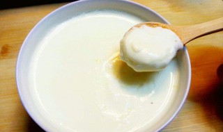 姜撞奶为什么不凝固 姜撞奶不凝固原因