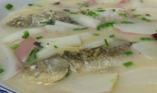 小鲫鱼萝卜汤如何做 小鲫鱼萝卜汤做法
