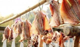 做腊鱼的正确方法 做腊鱼的正确方法简述