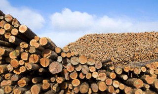 木材的密度是多少 关于木头密度介绍