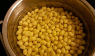 泡黄豆做法窍门 泡黄豆做法窍门介绍
