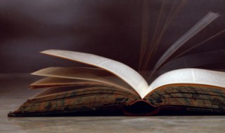 鸟的天堂的资料 鸟的天堂介绍