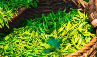 喝绿茶有什么好处与坏处 喝绿茶水温的选择