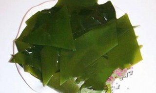 海带叶芽怎么保存 分别有什么办法